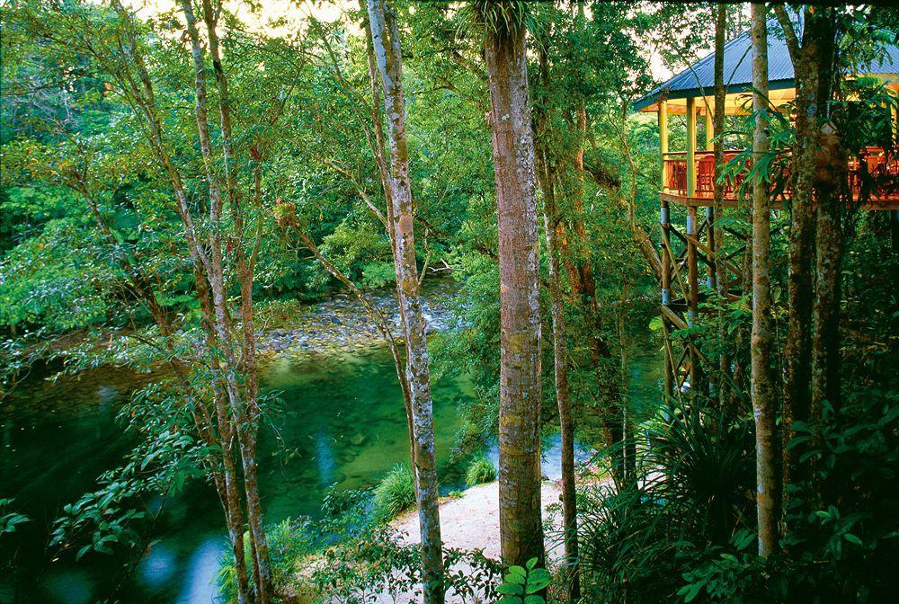 Silky Oaks Lodge Mossman Exterior photo